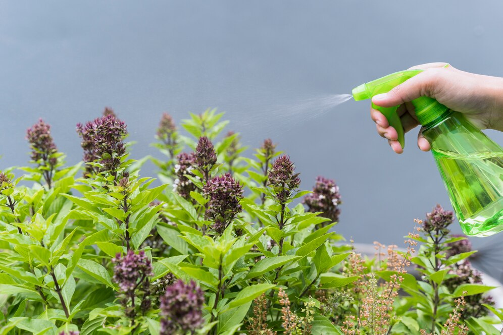 plant misting