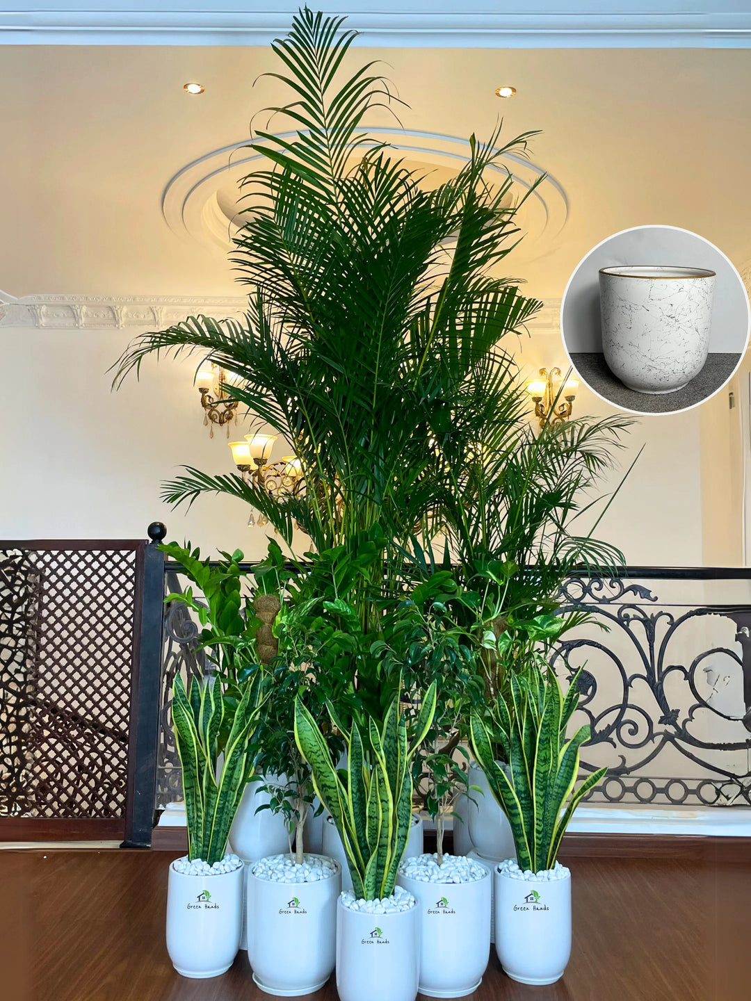 2XL-Areca-Palm-Executive-Combo-13-Plants-in-Luxe-Marble-Grey-Ceramic-Pots