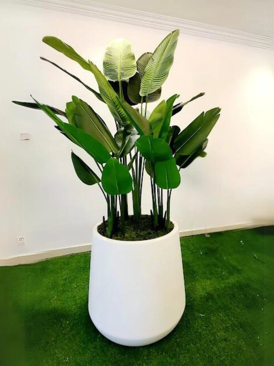 3XL-Artificial-Bird-of-Paradise-in-3XL-Fiber-Pot