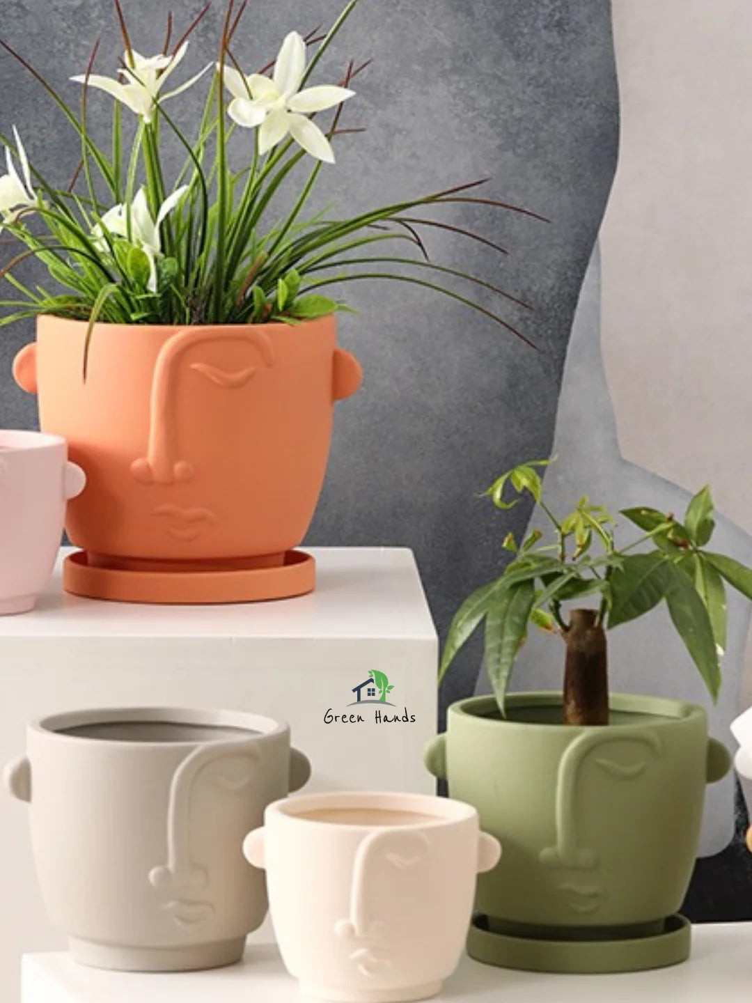 Adorable Terracotta Face Planter: The Perfect Sustainable Decorative Touch for UAE Homes