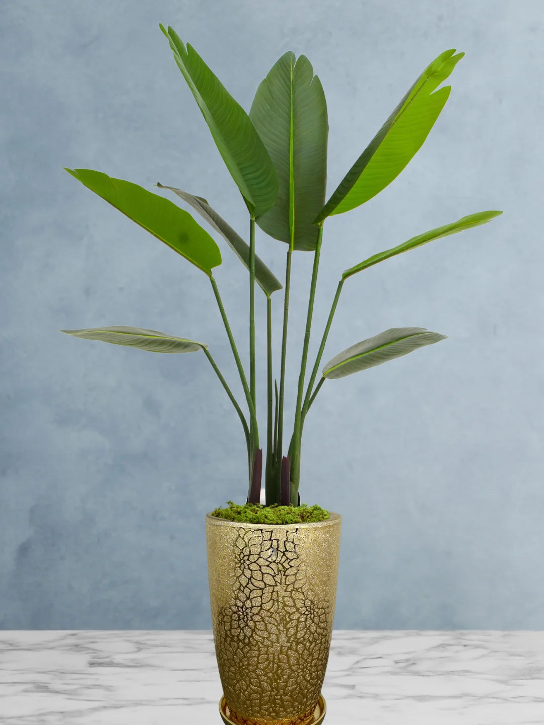 Artificial-Bird-of-Paradise-Pot-Inclusive-140-150-cm-Premium-Gold-Ceramic