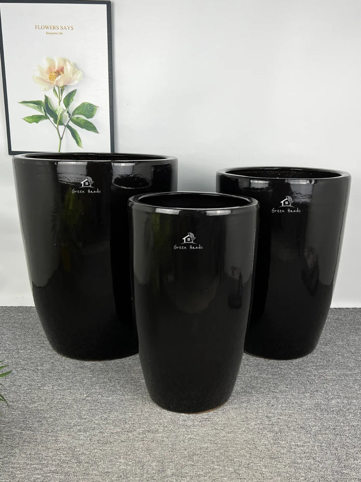 Potted Large Areca Palms | Three Plants Bundle in Tall Ceramic Pots