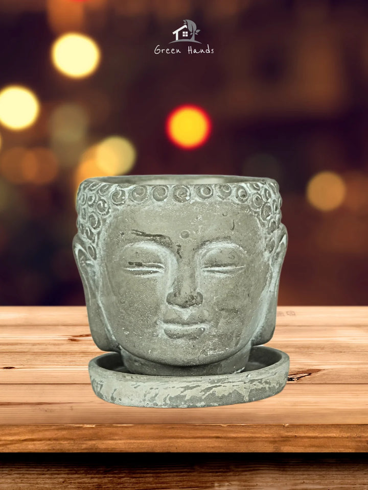 Buddha-Head-Planter-Small-1