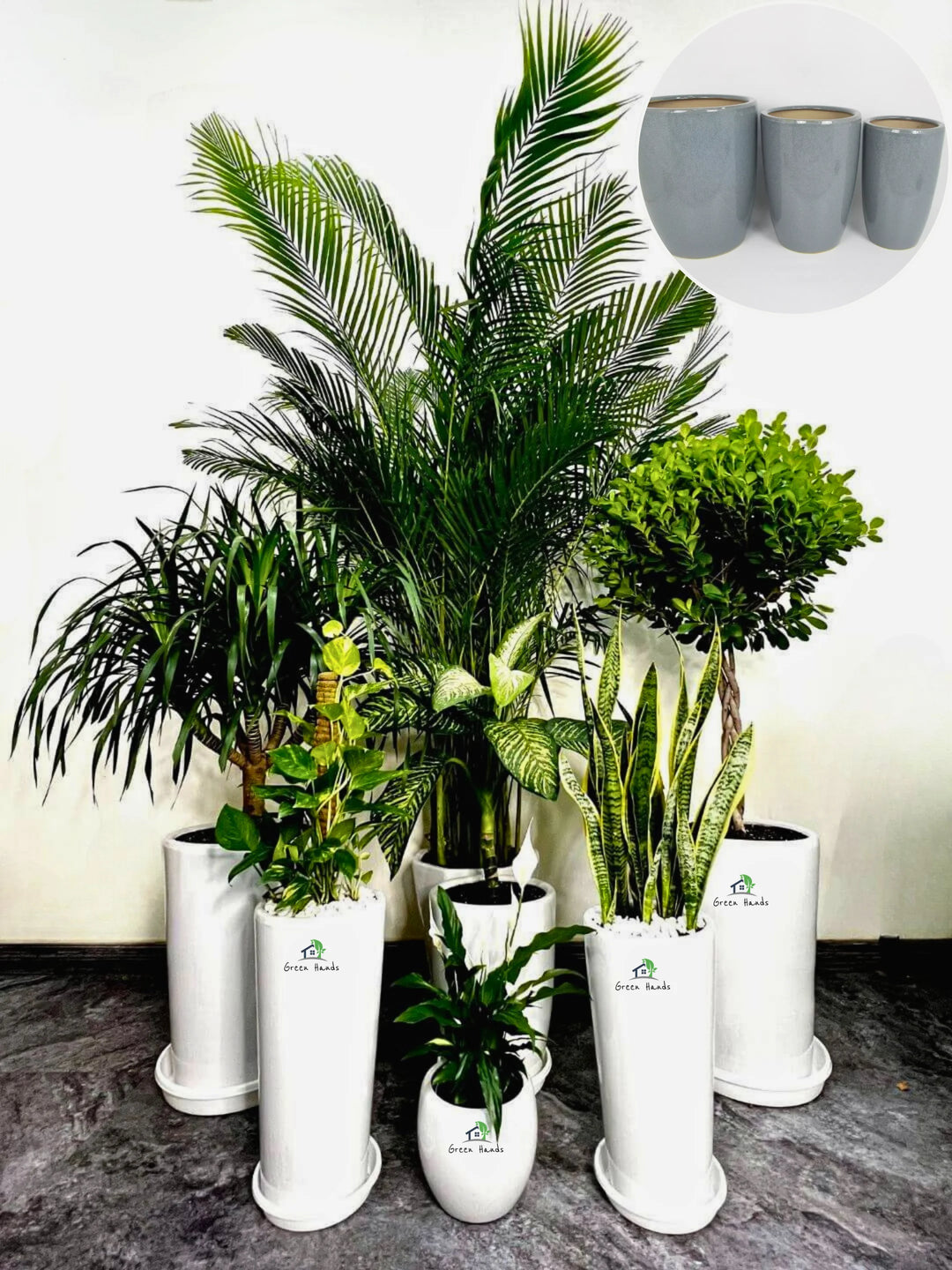 Corporate-Bundle-of-9-plants-Mixed-Light-in-Grey-Ceramic-Pots