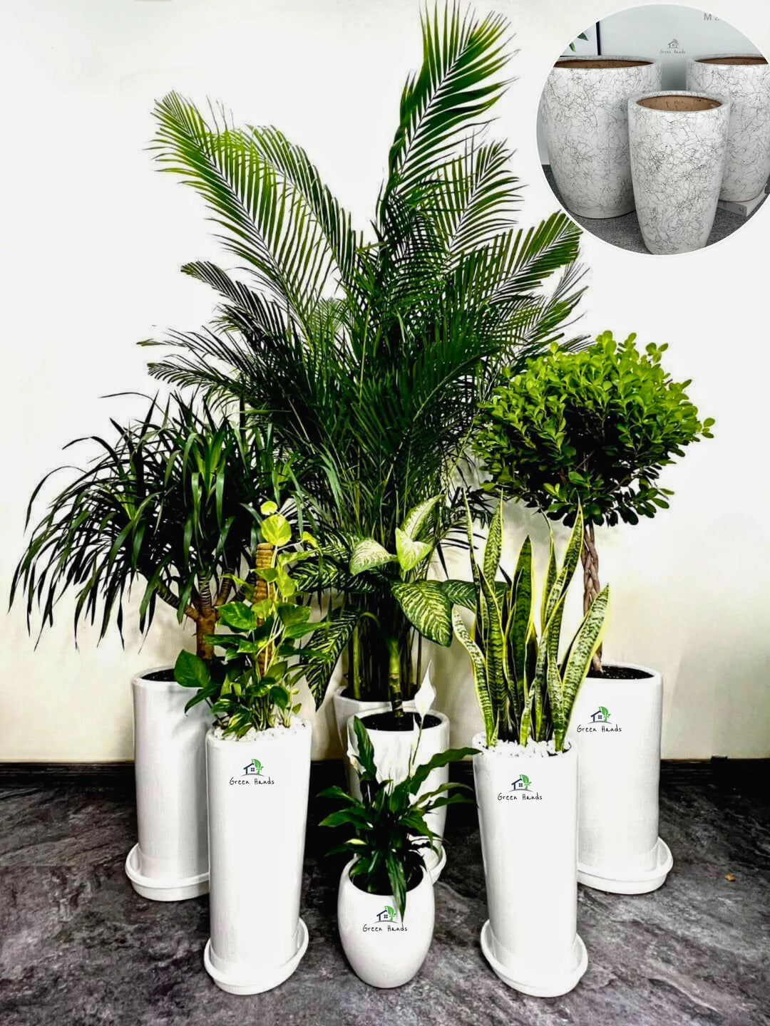 Corporate-Bundle-of-9-plants-Mixed-Light-in-Marble-Grey-Ceramic-Pots