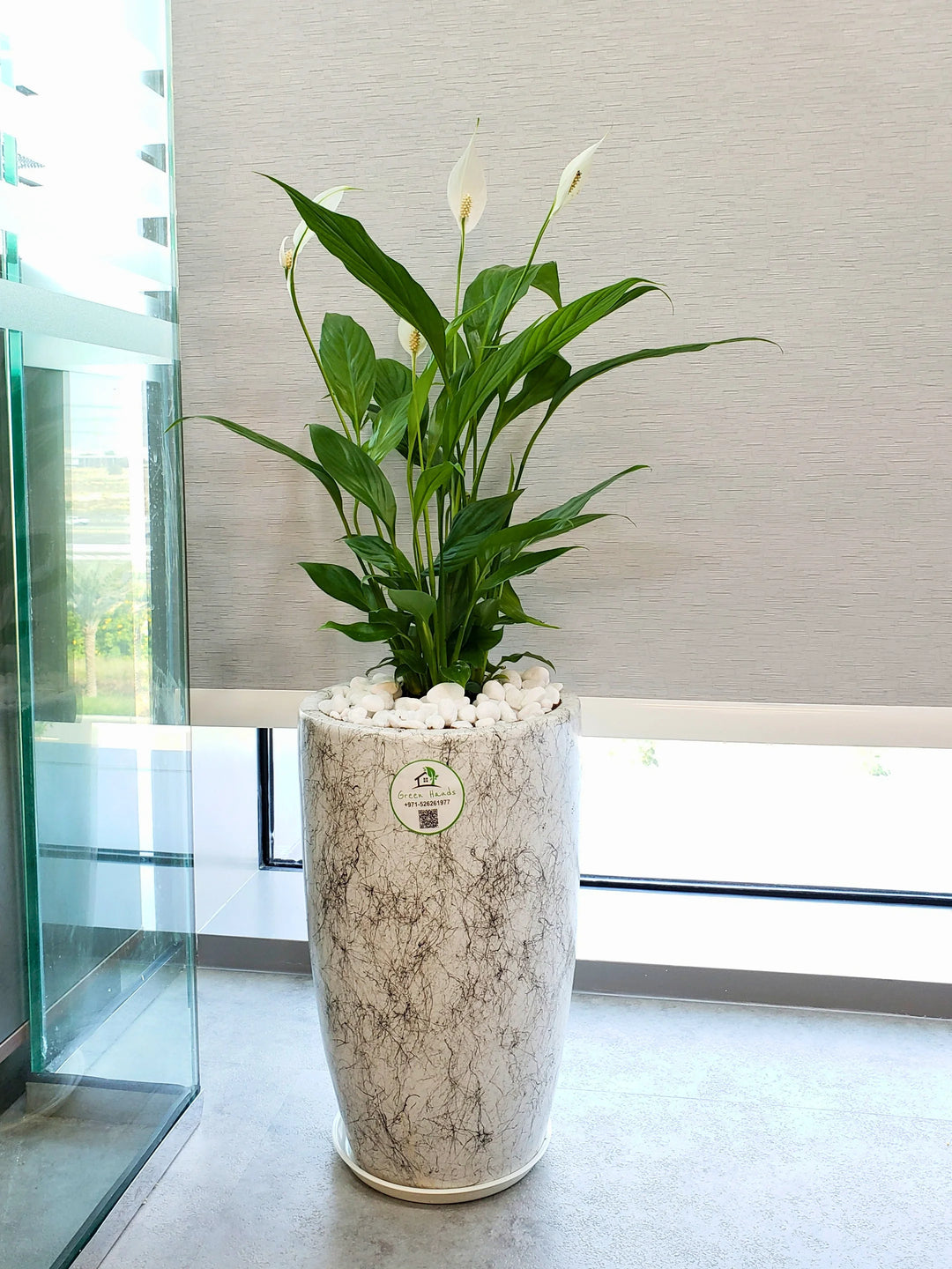 Large-Peace-Lily-in-Marble-Ceramic-Pot