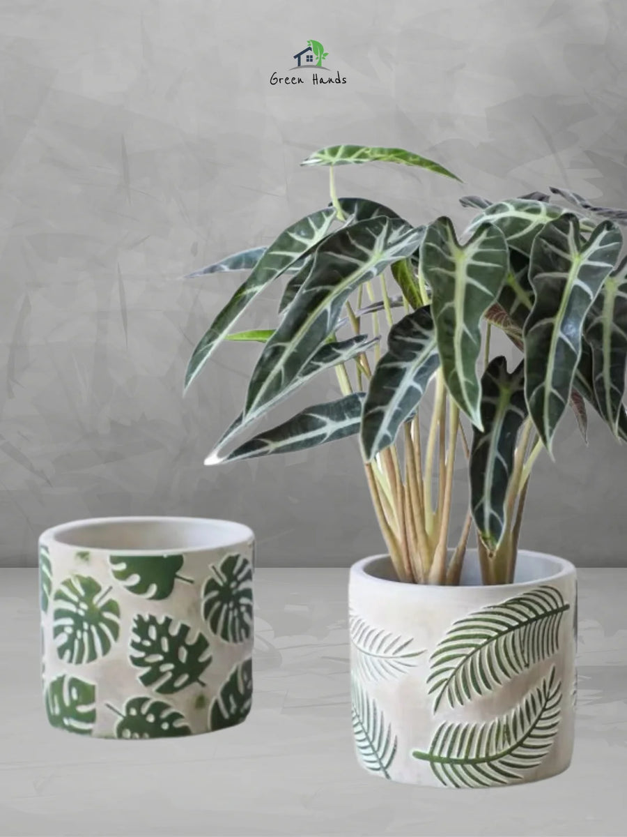 Monstera-Deliciosa-Pattern-Pot