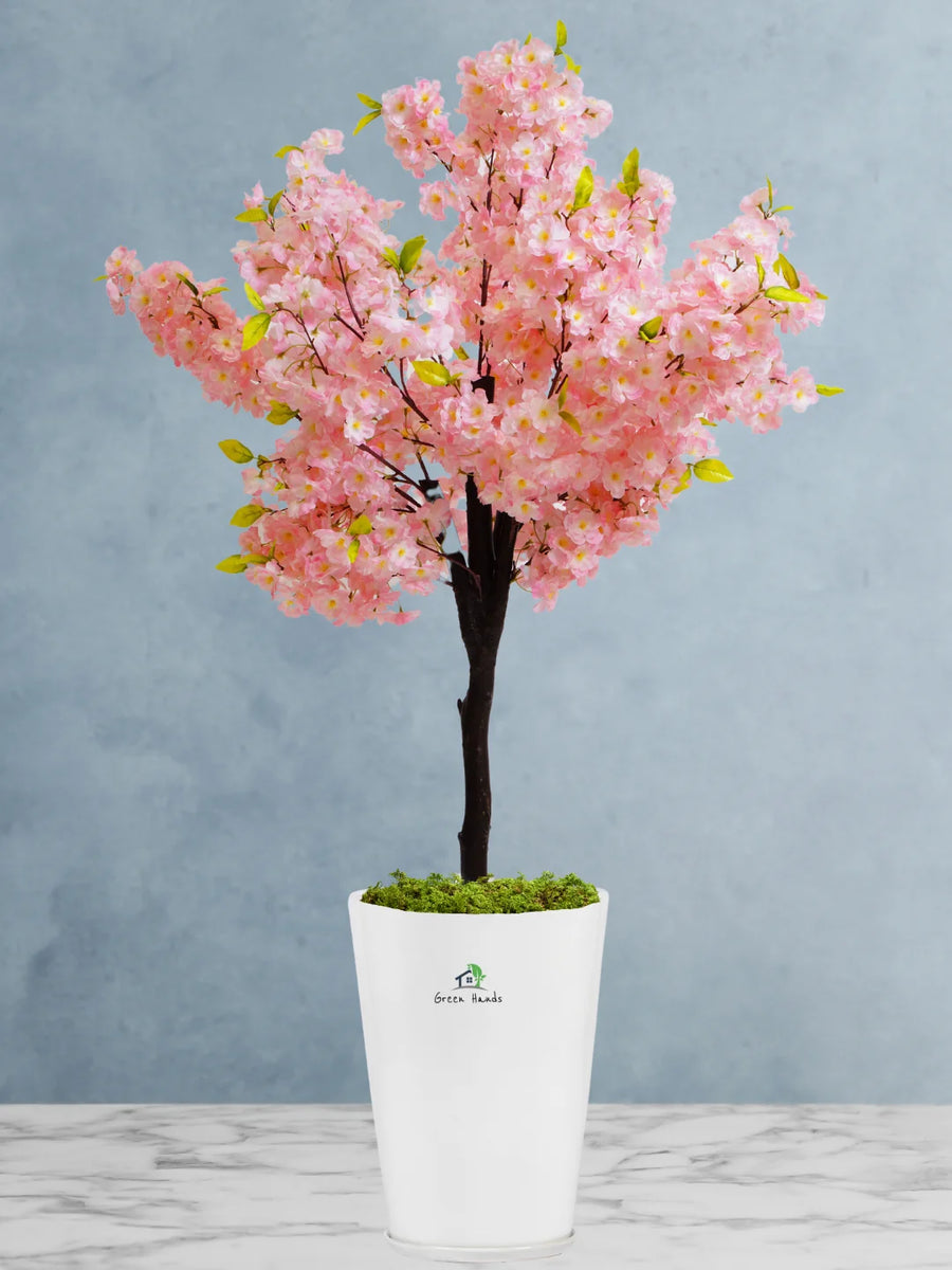 Potted-Artificial-XL-Cherry-Blossom-Tree-in-Premium-Glossy-White-Ceramic-Pot