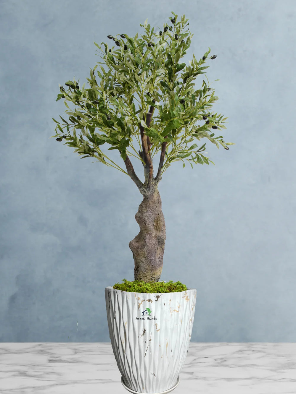 Potted-Artificial-XL-Mature-Olive-Tree-in-Premium-Marble-Gold-Ceramic-Pot