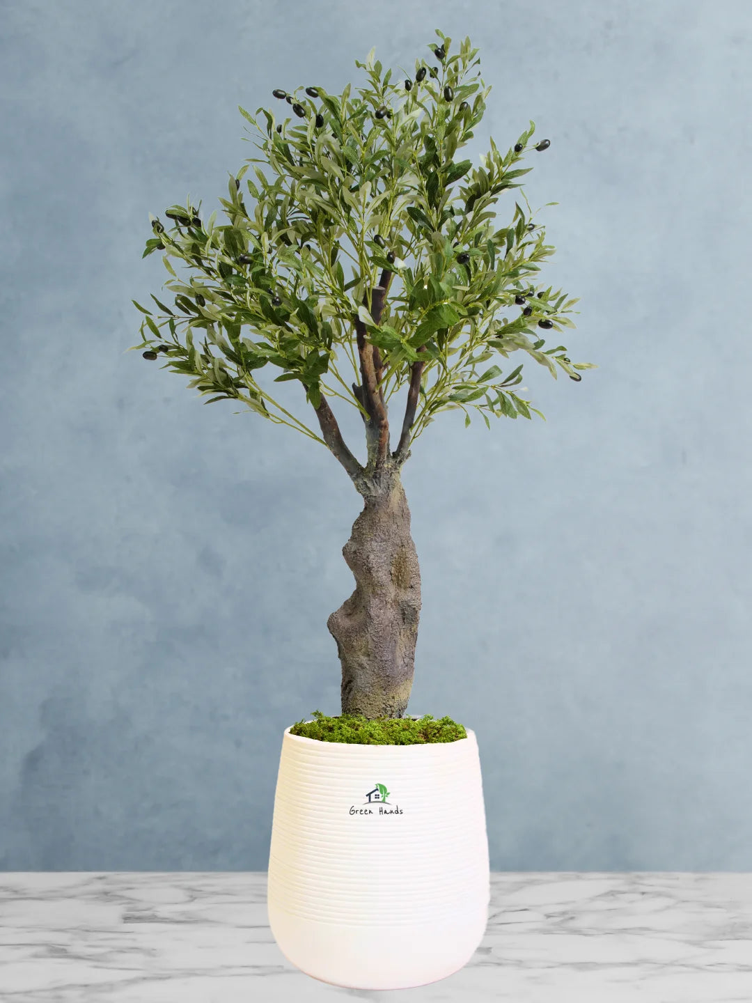 Potted-Artificial-XL-Mature-Olive-Tree-in-Premium-White-Fiber-Pot