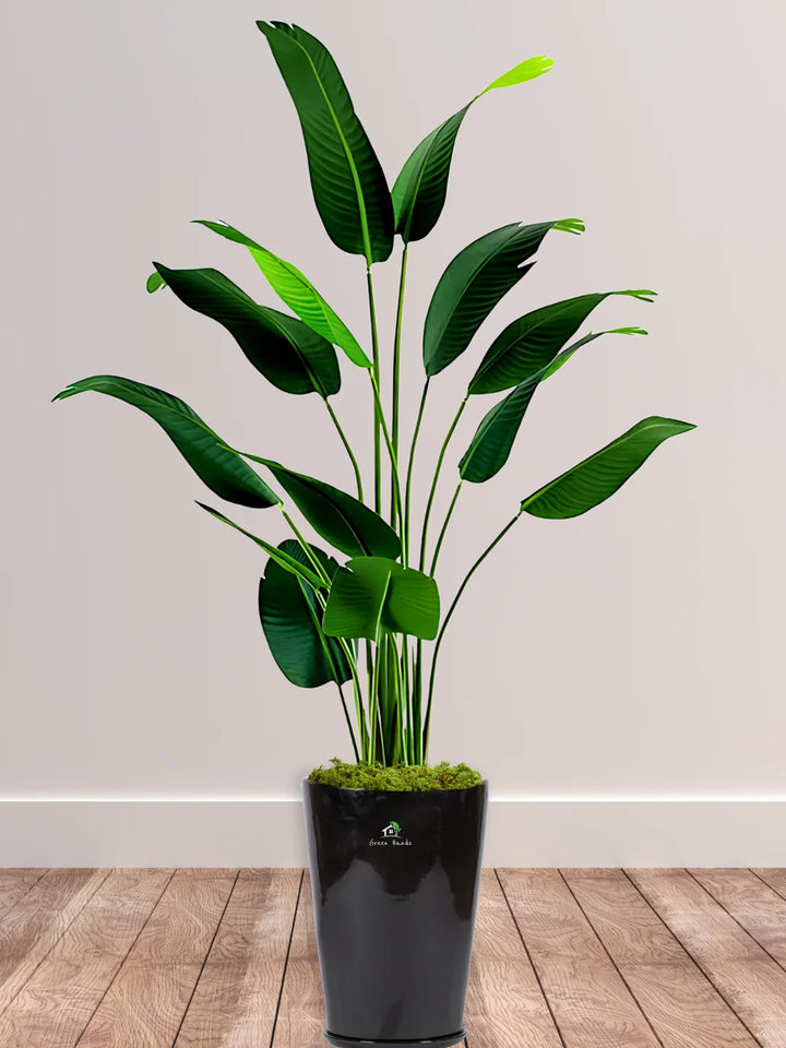 Potted-Artificial-XXL-Bird-of-Paradise-Tree-in-Premium-Glossy-Black-Ceramic-Pot