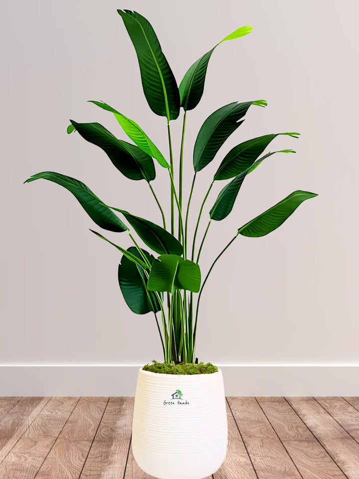 Potted-Artificial-XXL-Bird-of-Paradise-Tree-in-Premium-White-Fiber-Pot