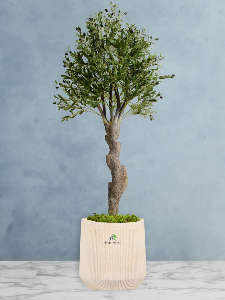 Potted-Artificial-XXL-Mature-Olive-Tree-in-Premium-Arabian-Sand-Fiber-Pot