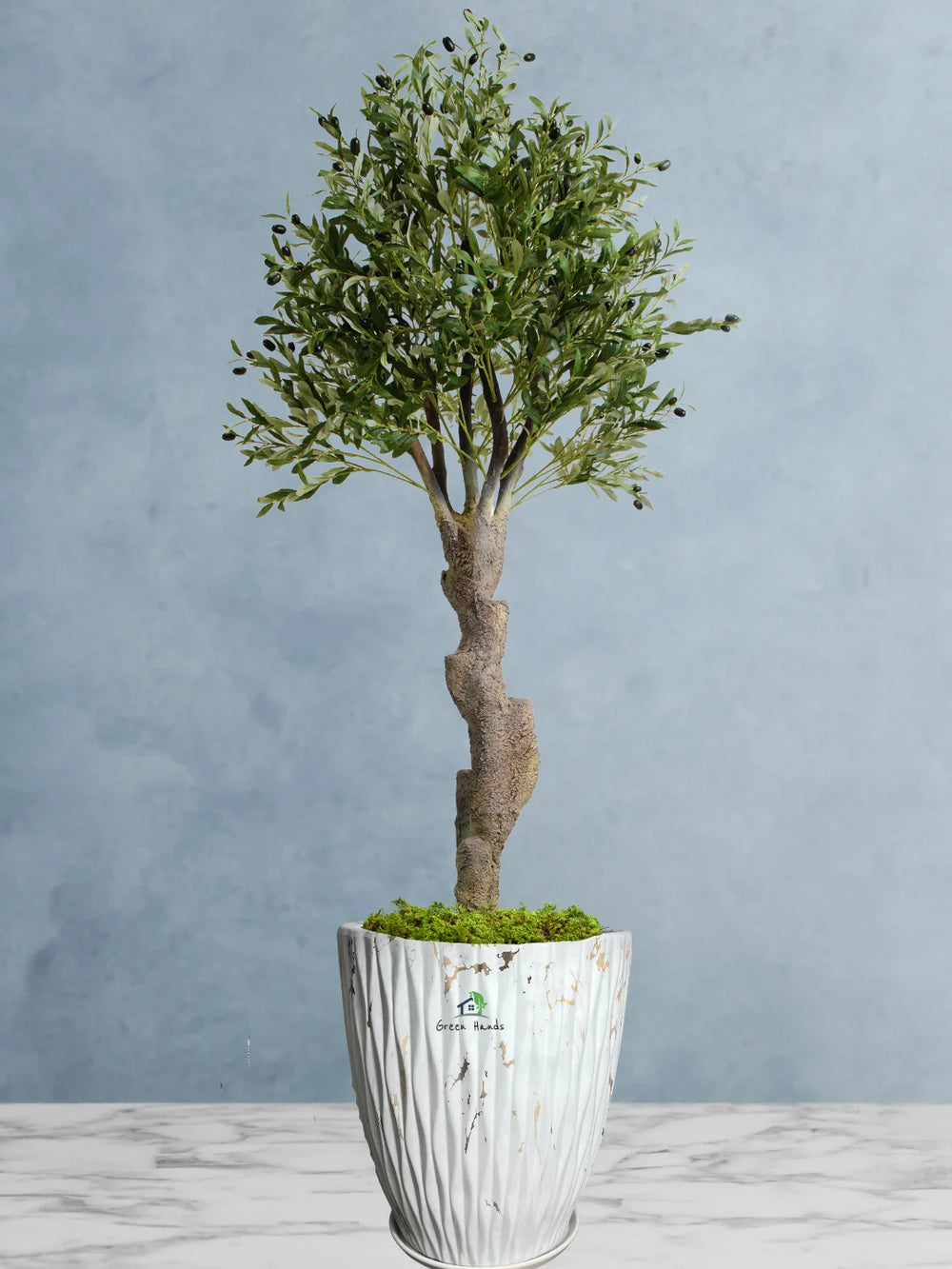 Potted-Artificial-XXL-Mature-Olive-Tree-in-Premium-Marble-Gold-Ceramic-Pot