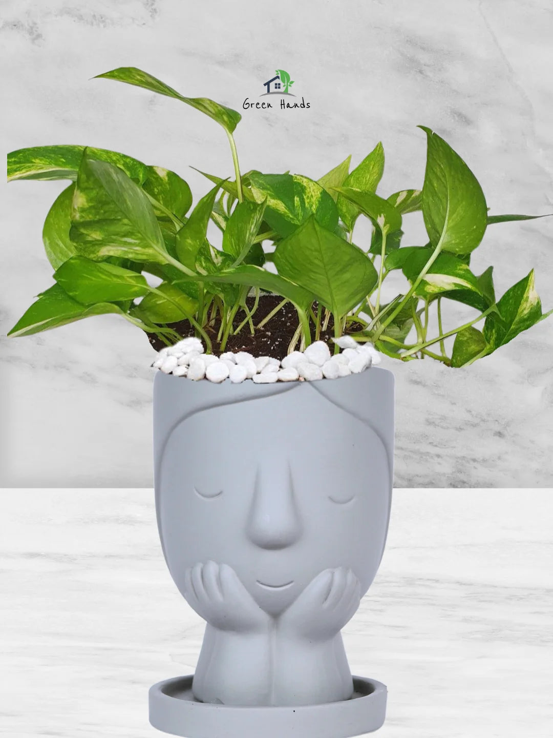 Potted-Money-Plant-in-Adorable-Terracotta-Cute-Girl-Face-Planter-Stone-1