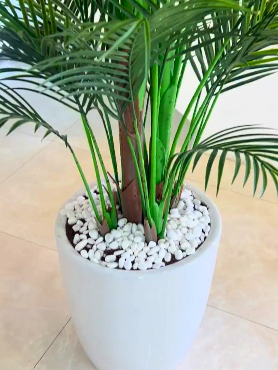 Artificial 2XL Areca Palm | 250 cm | Pot Included