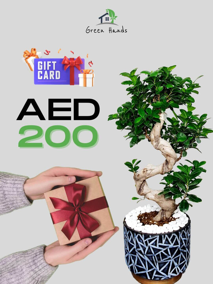 Green Hands Gift Card