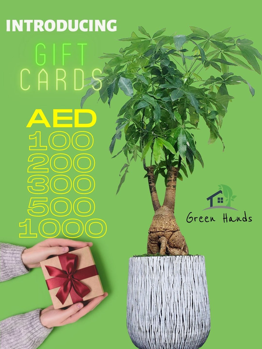 Green Hands Gift Card